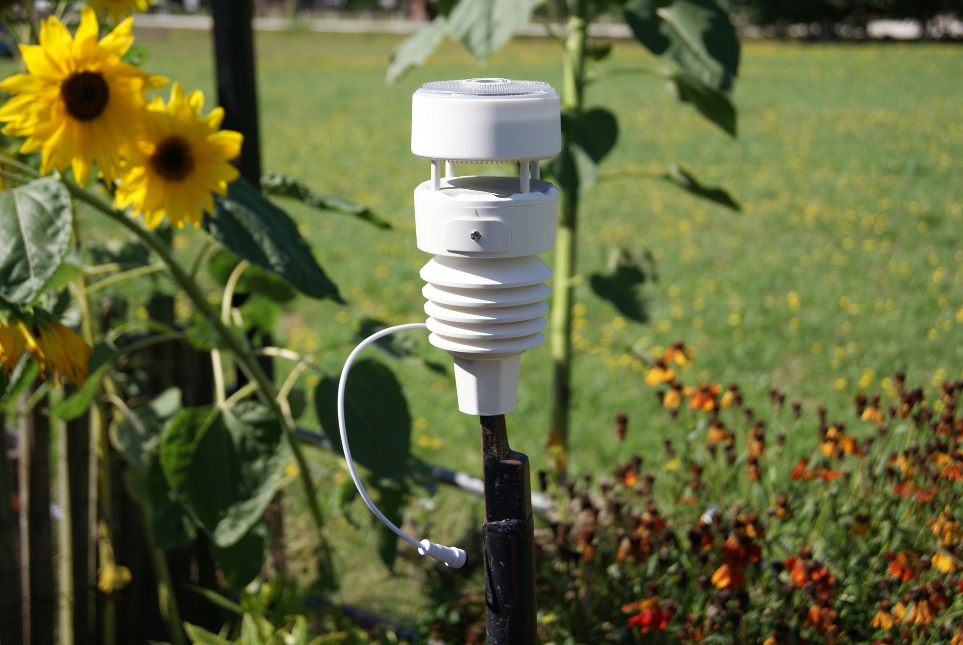 MeteoA weather station installed on-site